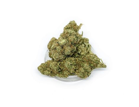 Sativa Poland Susz CBD Kosher Kush - 3